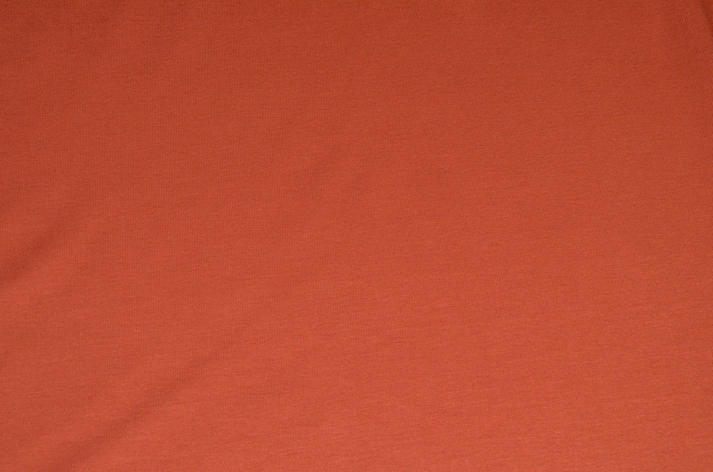 Rayon/Lycra Jersey Knit in Spice