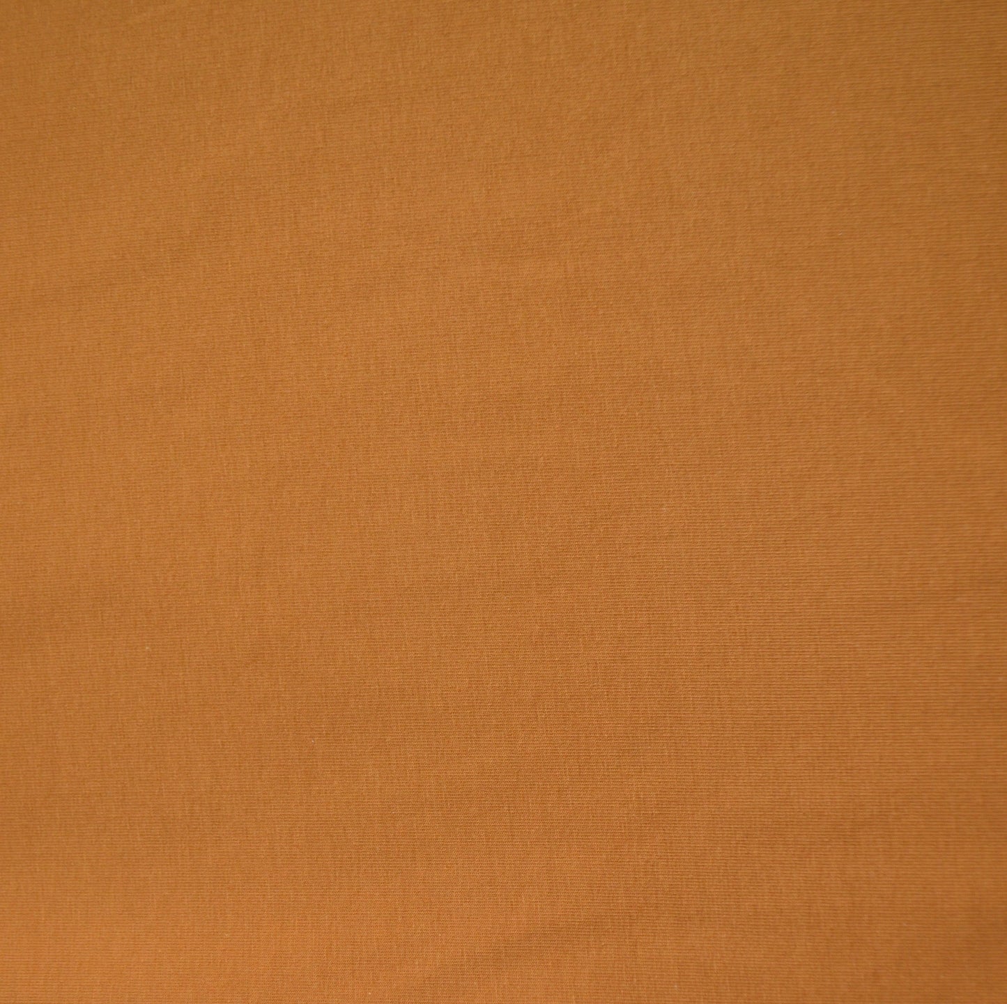 Cotton/Elastane French Terry in Caramel